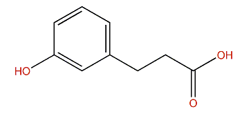 3-(3-Hydroxyphenyl)-propanoic acid